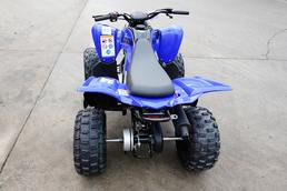 Yamaha YFM110R Yamaha YFM110R